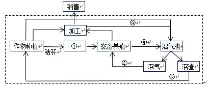 循环经济 生态农业