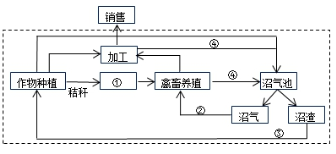 农业地域的形成与发展