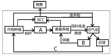 阅读图文材料,完成下列问题。国家中心城市是处于城镇体系最高位置的城镇层级,在全国具备引领、辐射、集散功能的城市,是实现“城镇化质量明显提高”、推动中国城市现代化