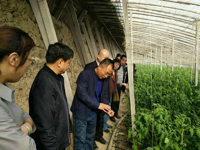 写美篇  为进一步推进我市高端特色农产品种植及销售,增加农业种植